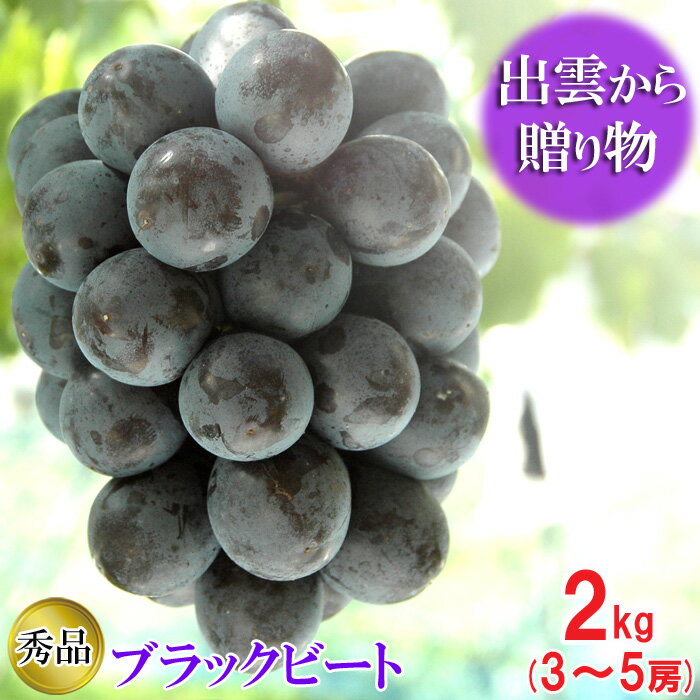 【ふるさと納税】先行予約 ブラックビート2kg箱（3〜5房） 農家直送 厳選 房 秀品 ギフト 贈答 ぶどう 葡萄 果物 フルーツ お取り寄せ
