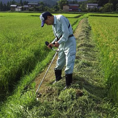 ふるさと納税 三条市 先行受付 新潟県認証特別栽培米 下田コシヒカリ 20kg 令和8年産 [堀江農園]【042S010】 |  | 01
