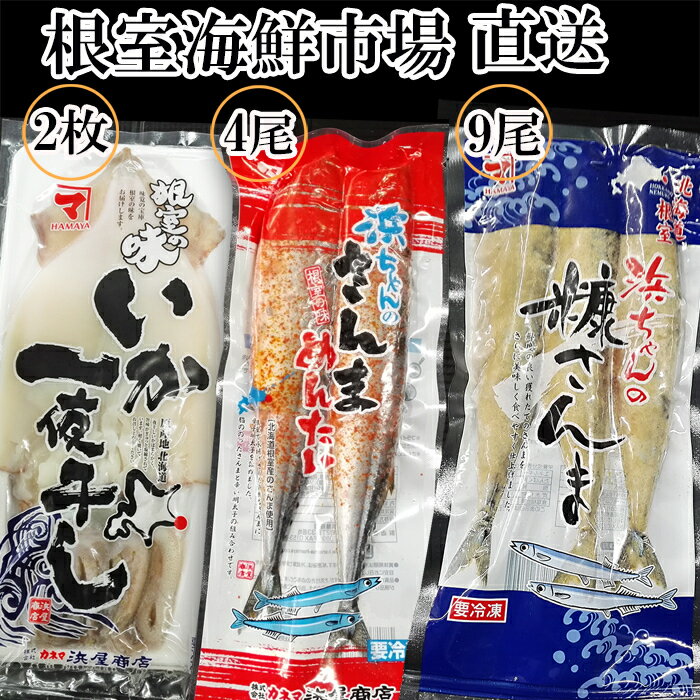 【ふるさと納税】【12月10日決済確定分まで年内配送】[北海道根室産]いか一夜干し2枚・さんま明太4尾・糠さんま9尾 A-14273