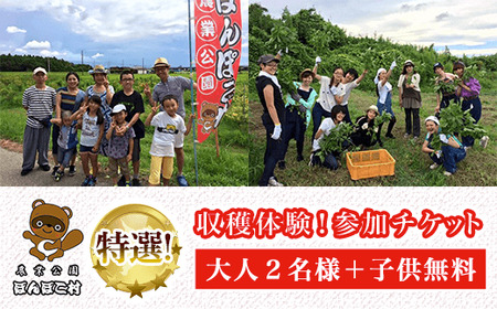 ＜農業公園ぽんぽこ村＞特選収穫体験！参加チケット（大人２名様＋子供無料） KAT003