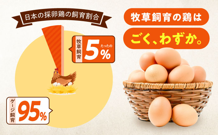 【全3回定期便】天心山 たまご 10個入り×1パック 卵 たまご 高級 食品 たまごかけご飯 卵かけご飯 卵焼き 生卵 濃厚 ケーキ お菓子 づくり ランキング 上位 人気 おすすめ 定期便　広島県福