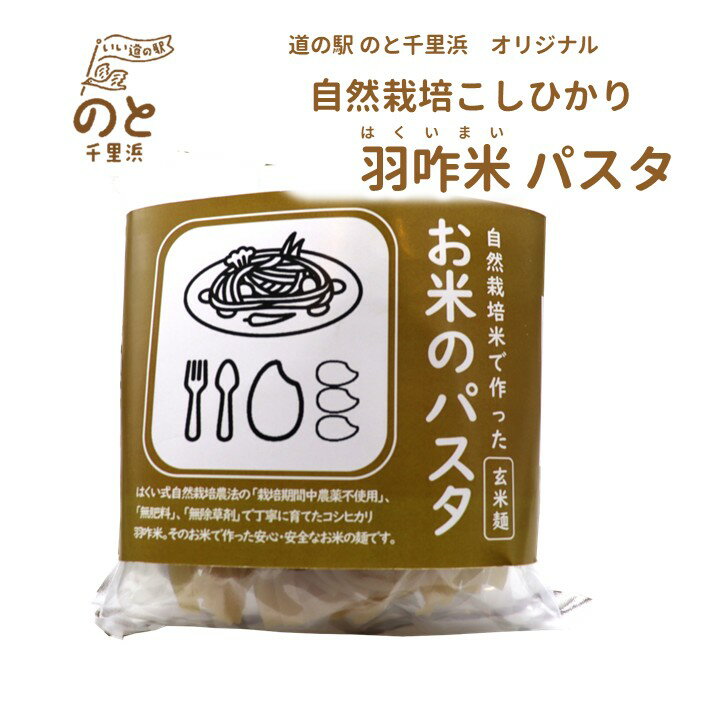 【ふるさと納税】 パスタ 麺 120g × 4袋 計480g 玄米 麺 米粉 使用 4人前 米 無農薬 能登 4食 こだわり 自然栽培 米 こめ めん 石川県産 国産 パスタ ヘルシー 安心 安全 こしひかり スパゲッティ イタリア 料理 アレンジ 羽咋米 レシピ おつまみ 晩酌 コシヒカリ 石川 羽咋