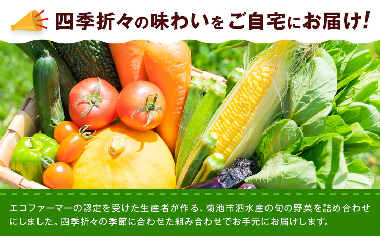 旬の野菜 定期便 計3回 旬の野菜 10品【養生市場】定期便 品種おまかせ ランダム 3ヶ月お届け 計3回 詰め合わせ セット 野菜 九州産 熊本県産《お申し込みの翌月から出荷》---003-2421