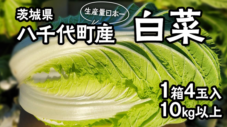 【11月中旬より発送】 茨城県 八千代町産 白菜 はくさい 1箱 （ 4玉 ） 10kg 以上 生産量 日本一 農家直送 期間限定 ハクサイ 鍋 冬野菜 野菜 やさい 旬 ふるさと納税 6000円 八千代町 茨城 [AV009ya]