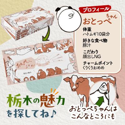 ふるさと納税 小山市 【120箱入り】大満足パック栃木の魅力ティッシュボックス150w×120箱※配送不可地域:離島・沖縄 |  | 02