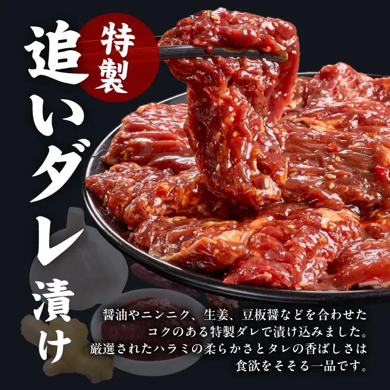 ガツめし牛ハラミ 600g 追いダレ漬け