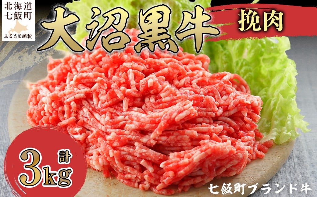 
            大沼黒牛挽肉　3kg 【ふるさと納税 人気 おすすめ ランキング 北海道ブランド牛 大沼黒牛 黒毛和牛 冷凍 挽肉 ハンバーグ おいしい 北海道 七飯町】 NAM011
          