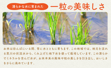 米 お米 コシヒカリ 5kg 令和7年産 江戸屋農産株式会社《30日以内に出荷予定(土日祝除く)》 栃木県産 コメ 米 こしひかり コシヒカリ5kg 5キロ【栃木県共通返礼品】