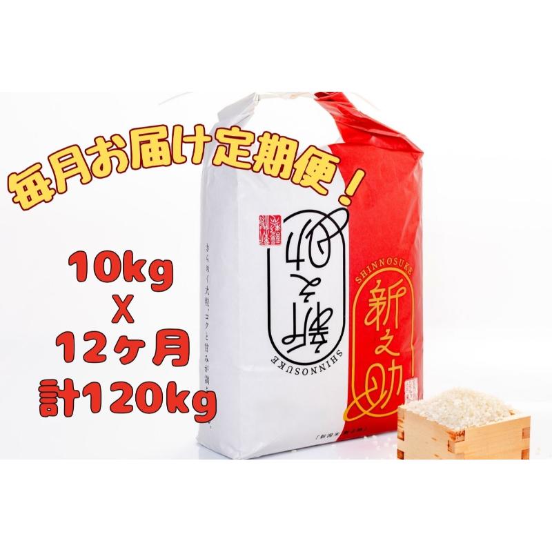 【ふるさと納税】【通年受付】魚沼産新之助　精米10kg（5kgx2袋）全12回 十日町市 十日町 米　お届け：2025年10月上旬以降、ご入金確認後順次配送予定。