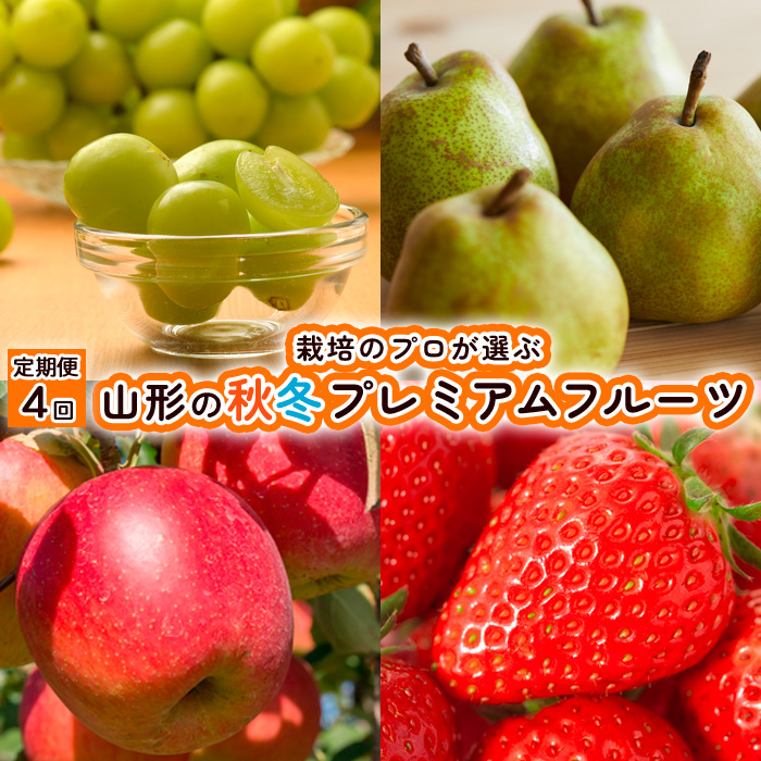 【定期便4回】栽培のプロが選ぶ山形の秋冬プレミアムフルーツ【令和8年産先行予約】FU21-946