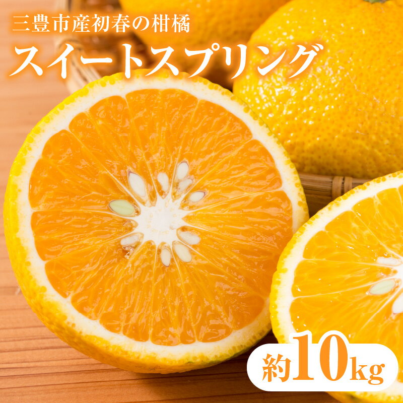 【ふるさと納税】 スイートスプリング 三豊市産初春の柑橘「スイートスプリング」約10kg [ 柑橘 フルーツ 香川県産 四国産 果物 旬 初春の果物 甘い柑橘 旬のフルーツ 果物ギフト 産地直送 新鮮フルーツ 10000 10,000円 台 五色青果 ]