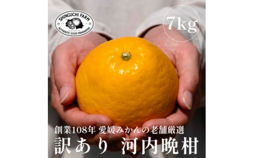 愛媛みかんの老舗＜河内晩柑 訳あり 7kg＞新口農園＜C70-45＞【1537315】