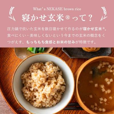 ふるさと納税 行橋市 【ふるさと玄米】寝かせ玄米ごはんパック 福岡県行橋市産【160g×24食セット】(行橋市) |  | 03