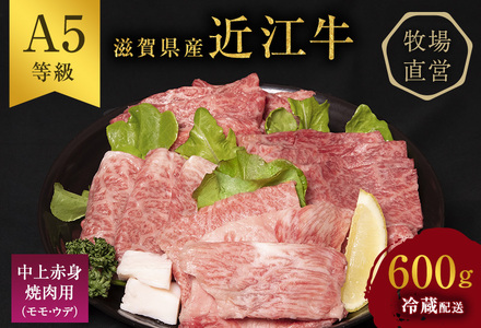 【600g】【A5ランク】近江牛 焼肉 中上赤身 A5雌牛 BBQ 西川畜産 近江牛