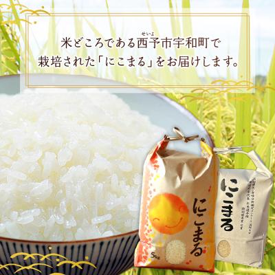 ふるさと納税 西予市 <令和7年産 西予市宇和町産 にこまる 約5kg> お米 |  | 01