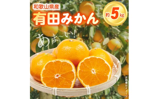 
										
										ZN6007n_（先行予約）こだわりの和歌山県産 有田みかん 5kg ひとつひとつ手選別で厳選！生産者から直送
									