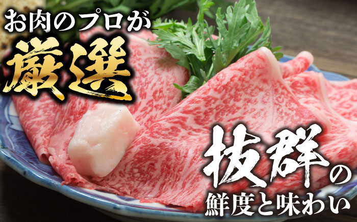 【厳選部位】おおいた豊後牛 サーロイン しゃぶしゃぶすき焼き用 500g 日田市 / 株式会社MEAT PLUS　牛 うし 黒毛和牛 和牛 豊後牛 [AREI016]