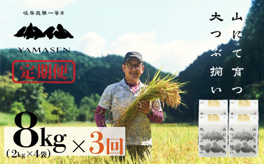 新米先行予約【2026年産米】【定期便】2kg×4袋（8kg）×3回（2026年10月中旬から発送）山仙（いのちの壱） すがたらいす 下呂市金山産 令和8年産 毎月 8キロ×3カ月 お米 精米 下呂温泉 下呂市 米 ブランド米