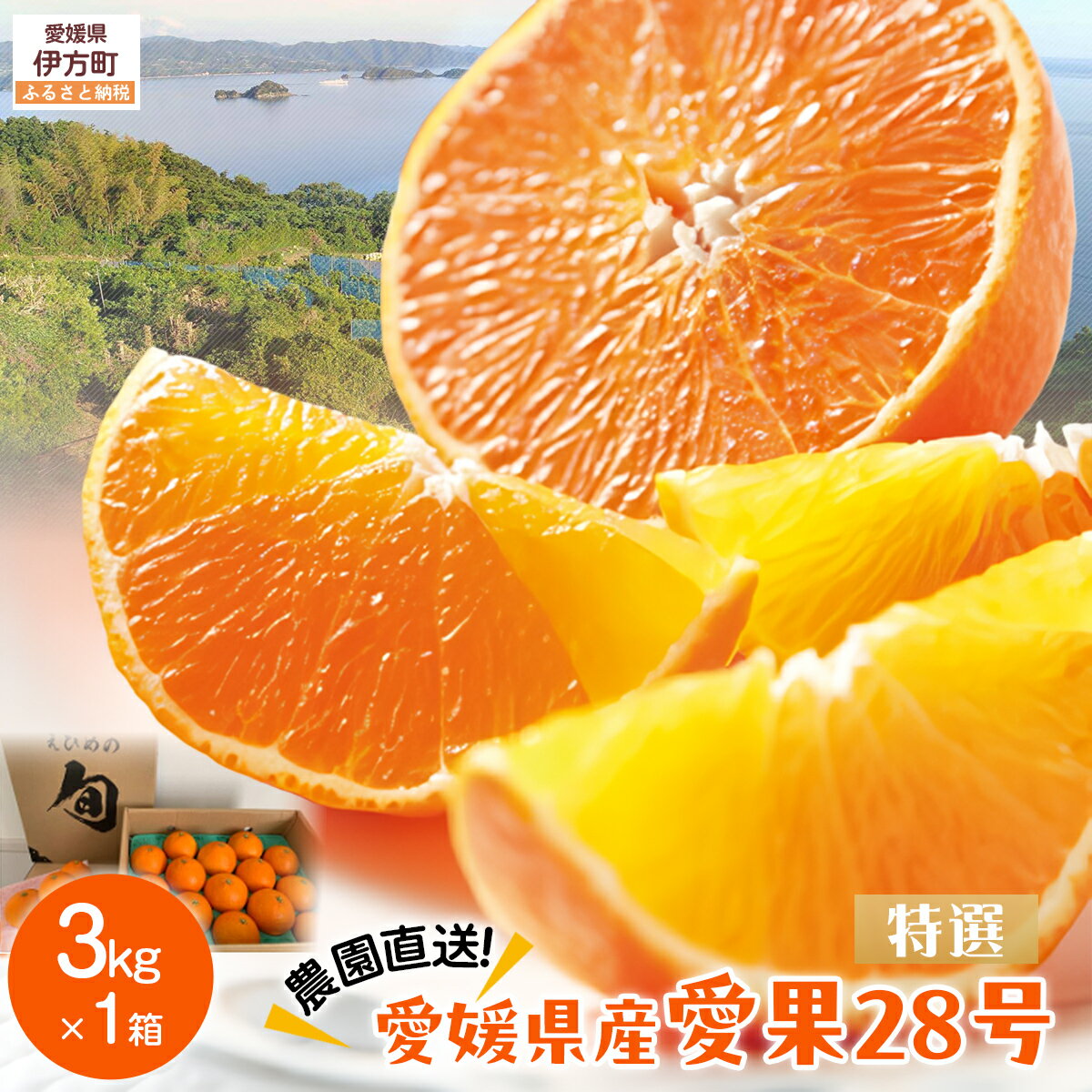 【ふるさと納税】【先行予約】【数量限定】＼農園直送／愛媛県産 愛果28号（特選） 3kg×1箱（2025年12月中旬より順次発送） 【ふるさと納税 人気 おすすめ ランキング 柑橘 みかん ミカン 蜜柑 愛果28号 紅 まどんな と同品種 果物 フルーツ 岡市農園 愛媛県産 】 IKTV004