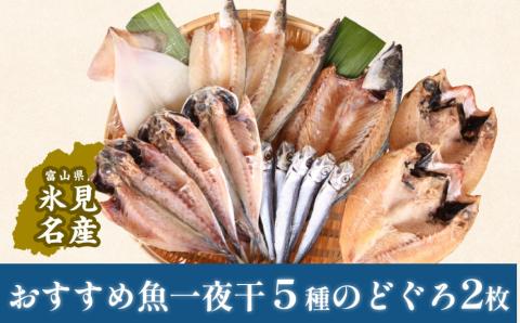 氷見堀与 おすすめ魚一夜干５種とのどぐろ2枚 富山県 氷見市 魚介類 魚 干物 一夜干し セット のどぐろ あじ するめ