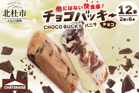 【シャトレーゼ】チョコバッキーバニラ＆チョコ詰合せ12本入  シャトレーゼ チョコバッキー 12本入り アイス 詰め合わせ セット バニラ＆チョコ バニラ チョコ 2種類 チョコ好き デザート おすすめ 人気 山梨県 北杜市 バレンタイン ホワイトデー
