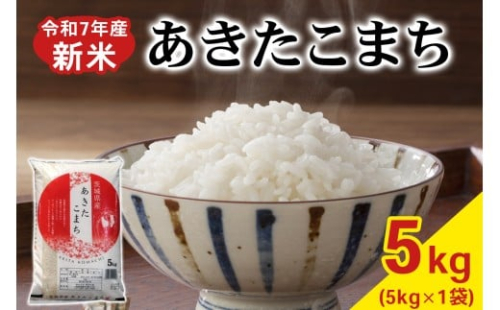 新米【令和7年産】あきたこまち 白米 5kg×1袋 茨城県稲敷市産｜おこめ 精米 直送 お米 産地 茨城 稲敷 [1821]