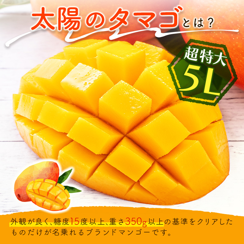 数量限定 宮崎県産 完熟マンゴー＜太陽のタマゴ＞5L×1玉（650g以上）※2027年4月下旬配送開始 化粧箱入 フルーツ くだもの【D114-27】_イメージ3