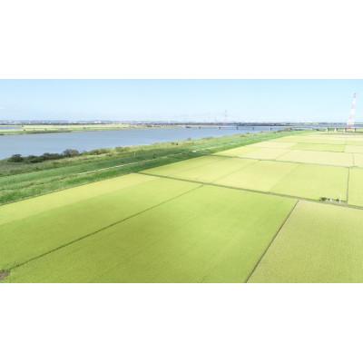 ふるさと納税 香取市 【毎月定期便】千葉県香取市産コシヒカリ 5kg全6回 |  | 01