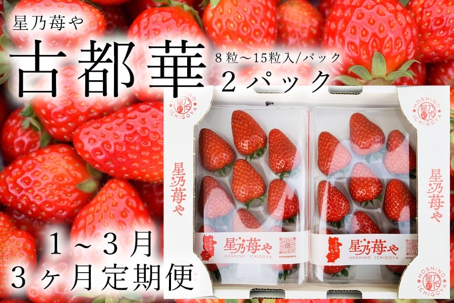 
            定期便 いちご 奈良県のいちご古都華2パック3ヶ月定期便 2026年1月発送開始 // /苺 いちご イチゴ 古都華 奈良 奈良県 広陵町 生産者直送 直送 厳選 数量限定 旬 フルーツ 甘い 完熟 果物 3ヶ月定期便
          