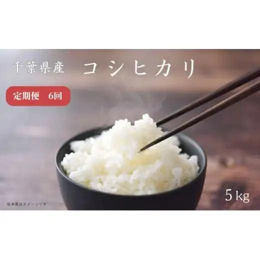 【 定期便 6回 】《 令和7年産 》千葉県産 コシヒカリ 5kg ／ 米 こめ コメ お米 おこめ コシヒカリ こしひかり 令和7年 白米 精米 ごはん 5kg 定期便 送料無料