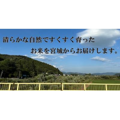 ふるさと納税 石巻市 米 令和7年産 ササニシキ 精米 5kg お米 ごはん ご飯 飯 5キロ 単一銘柄米 主食 |  | 01