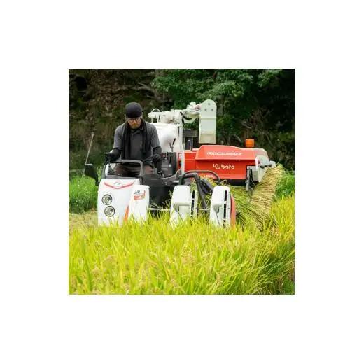 【12ヵ月定期便】兵庫県佐用町産 お米 5kg×12ヵ月 (計60kg)  精米 てんこもり