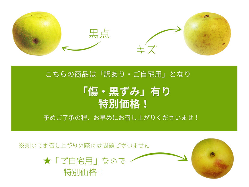 数量限定 鳥取県産 梨 訳あり ご自宅用 二十世紀梨 5kg