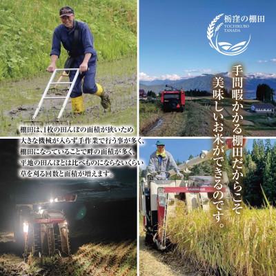 ふるさと納税 南魚沼市 【栃窪の棚田米】 新潟県 南魚沼  しおざわ　栃窪産 コシヒカリ 10kg 精米 日熊の米 棚田米 |  | 02