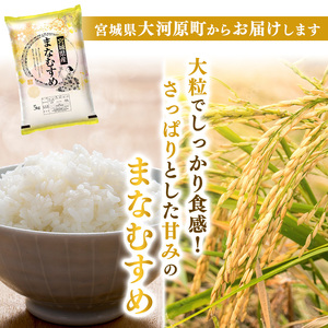 まなむすめ 定期便3回/5kg×1袋 令和8年産 新米先行予約 宮城県産 米 精米 白米 米 コメ お米 おこめ ブランド米 ご飯 ごはん