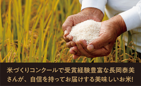 雪若丸 令和7年産 10kg（5kg×2袋） こめ コメ 2025年産 精米 山形県 朝日町産 送料無料