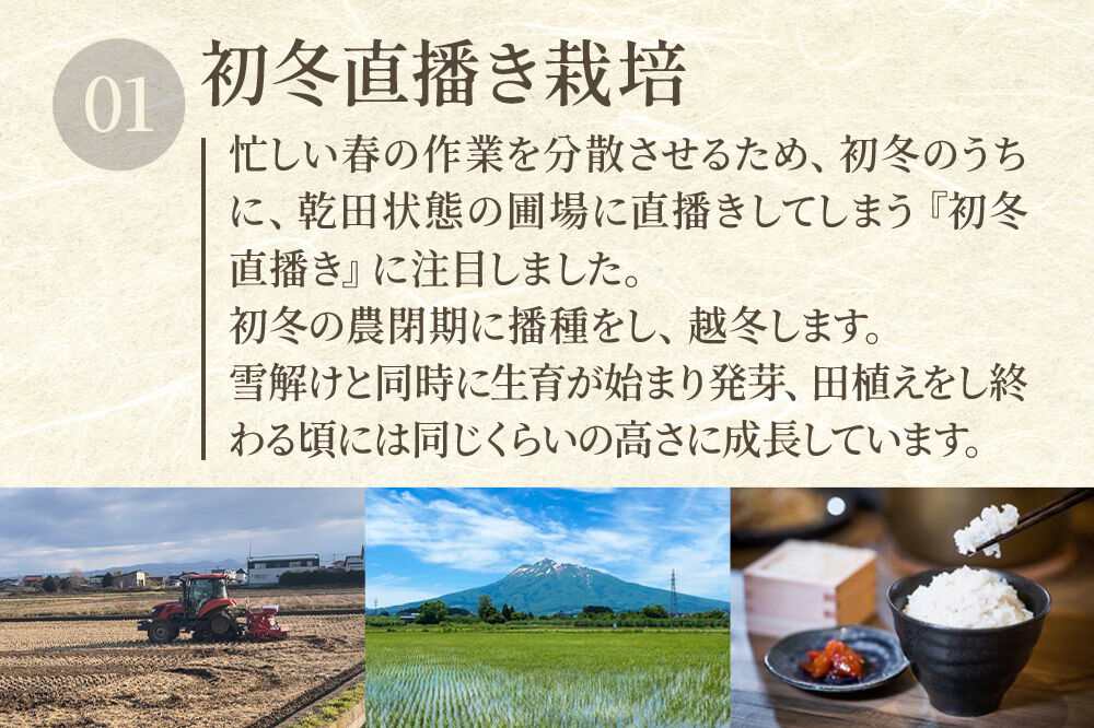米【特別栽培米】つがるロマン 玄米 5kg（5kg×1袋）令和7年産 青森県弘前市産 [5キロ つがるロマン 特別栽培米 玄米 ブランド米 青森県 弘前市産]