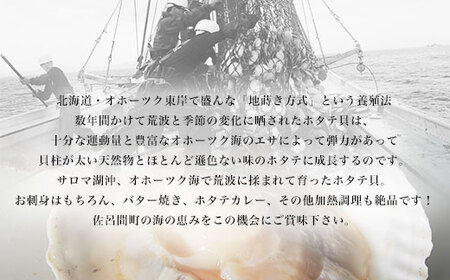 【12月発送限定】オホーツク産 ずっしり大きな『活』 ほたて 3kg（16～22枚） SRMN022