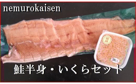 
            C-57058 鮭半身(切身)とイクラの醤油漬けセット
          