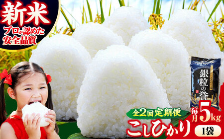 【全2回定期便】こしひかり 5kg 【令和7年産米】  [APDC003] こしひかり