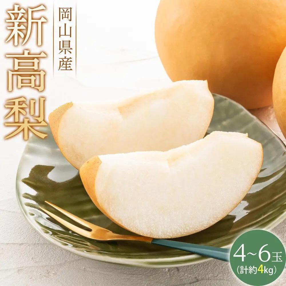 梨 2026年 新高 梨 青秀以上 4～6玉 約4kg  なし 岡山県産 フルーツ 果物 ギフト