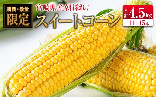 ＜2027年発送＞朝採れスイートコーン 計約4.5kg 宮崎県産
