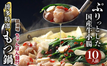 【プリプリの国産牛小腸のみ使用・ボリュームたっぷり10人前】博多特選もつ鍋(醤油味・10人前)【福岡ブランド 】| 短期配送 国産 ホルモン 牛 小腸 お取り寄せ 醤油