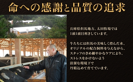 神戸牛訳あり焼肉用不揃い神戸牛【400g】