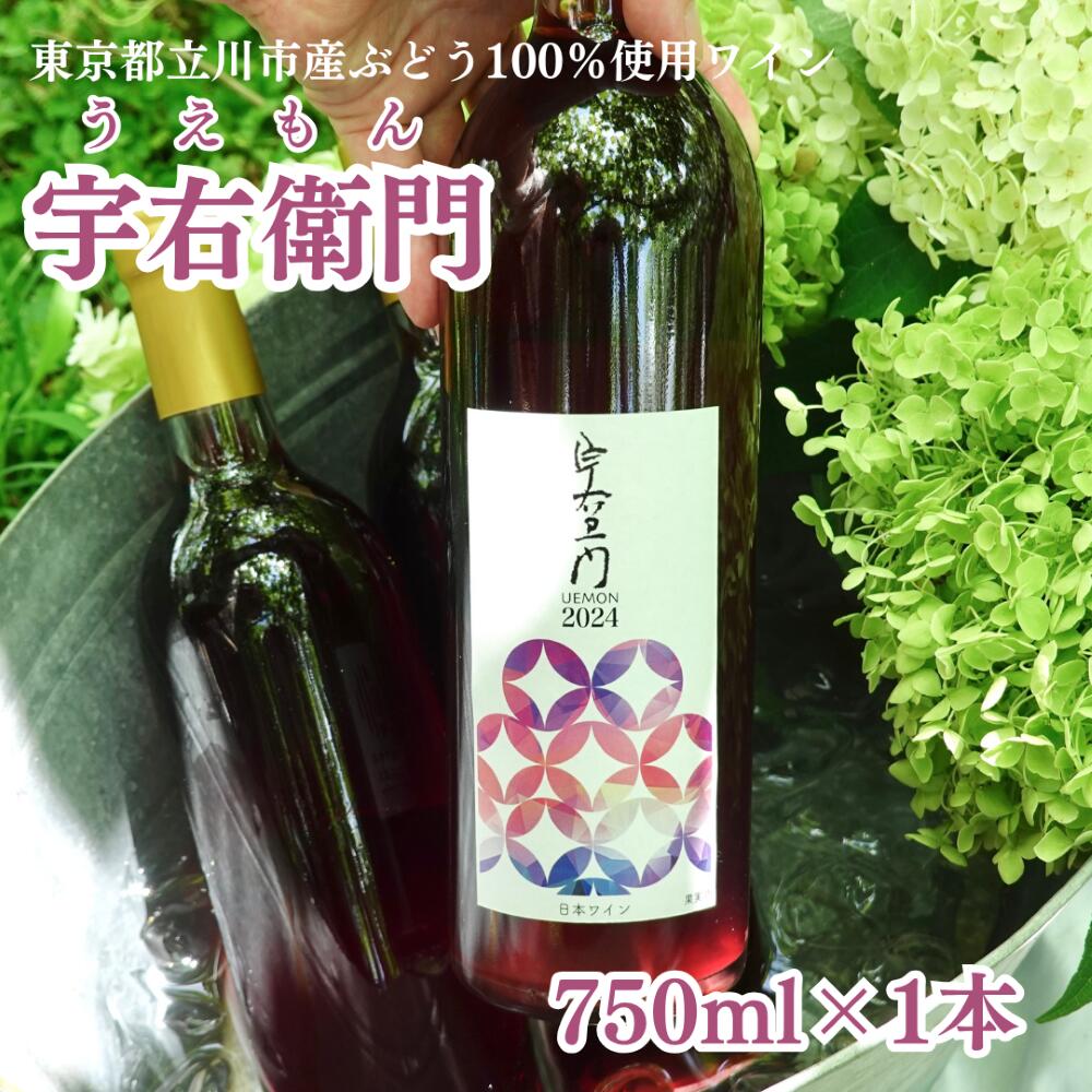 【ふるさと納税】立川産ぶどうで作ったワイン　750mlボトル1本