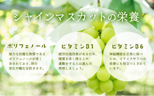 【期間限定】鏡野町産 シャインマスカット 2kg（2〜4房）