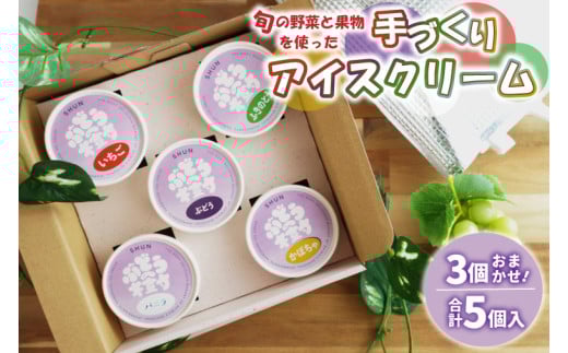 アイスクリーム 5種セット 手作り 詰め合わせ ギフト セット アイス 人気 国産 ​バニラ​ ぶどう 野菜 果物 フルーツ ぶどうの樹 紫波町 (EV001)