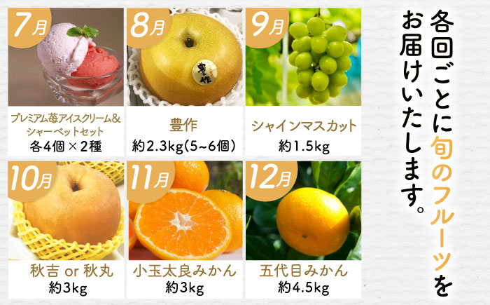 【全12回定期便】佐賀県の生産者を応援！佐賀の旬フルーツ食べ尽くし定期便 / 梨 シャインマスカット 桃 みかん フルーツ / 佐賀県ふるさと納税 [41AAZZ013]