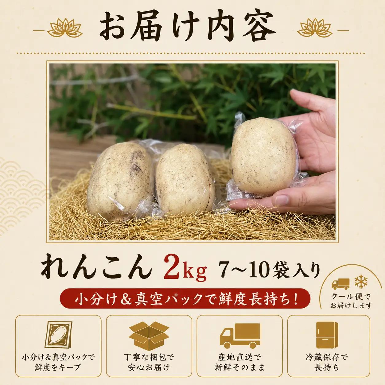 れんこん 小分け レンコン シャキシャキ 真空パック おせち | 【れんこん】krn017_X1