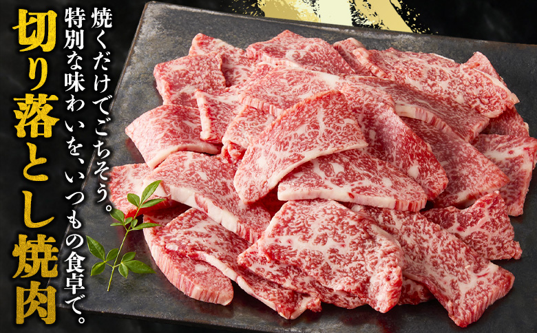 ＜宮崎牛 切落し焼肉1kg（500g×2）＞入金確認後、1～3か月以内に順次出荷【国産 黒毛和牛 牛肉 牛 精肉 赤身 ブランド牛 ちょっと豪華 毎日の食卓 プチ贅沢 ご褒美 旨味 普段使い 焼き肉 